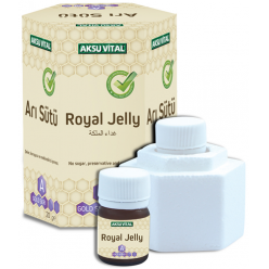 AKS VİTAL ARI SÜTÜ A(NORMAL) 20G