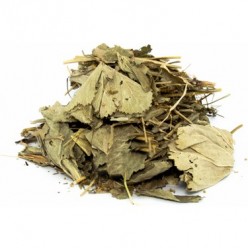 ASLAN PENÇESİ 15 GR