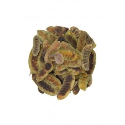 AÇLIK OTU 50 GR