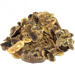 AÇLIK OTU 50gr