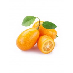 KUMKUAT