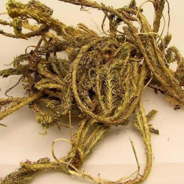 KURT PENÇESİ 30 GR