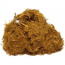 MEYAN KÖKÜ 40 GR