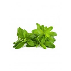 STEVİA ( ŞEKEROTU ) PAKET