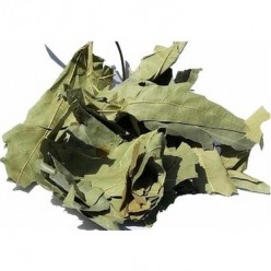 ÇINAR YAPRAĞI 15 GR
