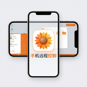 品牌 - 向日葵远程控制软件Anycast路由优化介绍